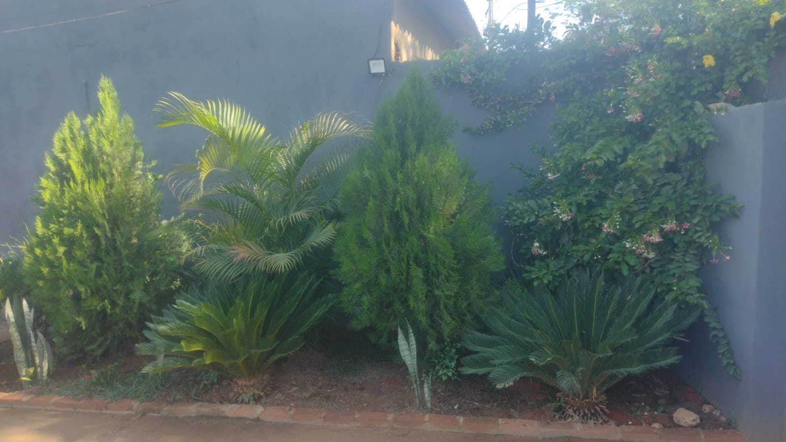 Imagem do WhatsApp de 2025-10-31 à(s) 15.19.37_cbb16789