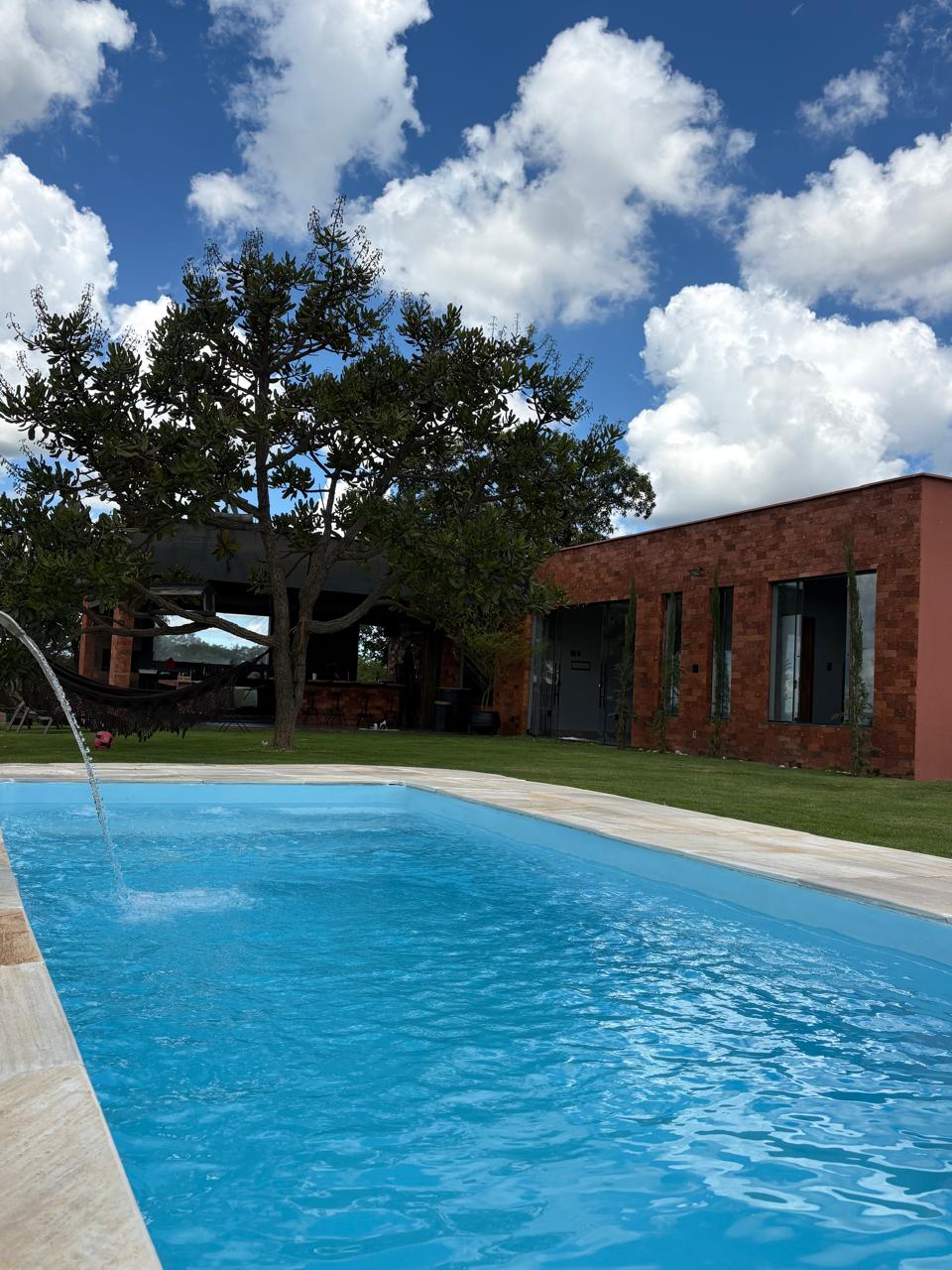 WhatsApp Image 2026-02-17 at 14.41.14