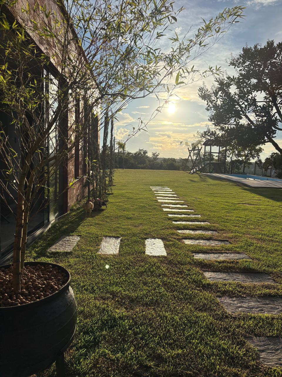 WhatsApp Image 2026-02-17 at 14.41.15 (3)