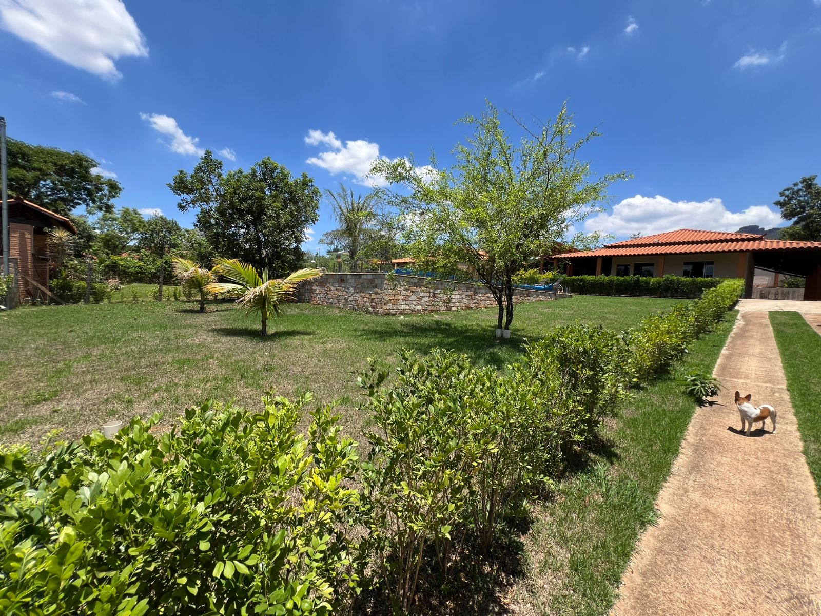 Imagem do WhatsApp de 2025-12-11 à(s) 12.22.38_6a3b4965