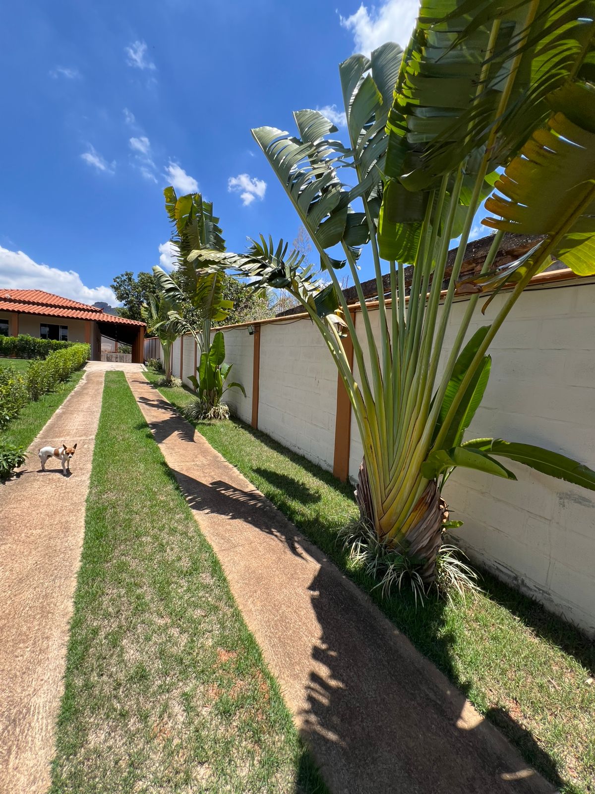 Imagem do WhatsApp de 2025-12-11 à(s) 12.22.39_e8458499