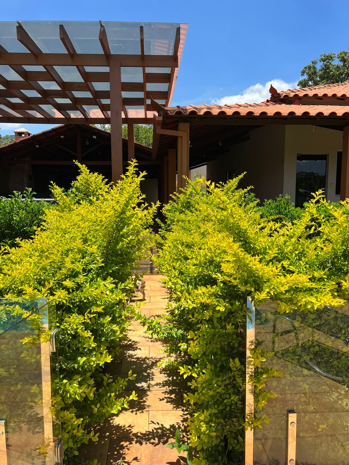 Imagem do WhatsApp de 2025-12-11 à(s) 12.22.41_cba6570b