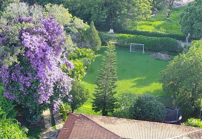 Imagem do WhatsApp de 2025-12-12 à(s) 15.06.57_4e86b404