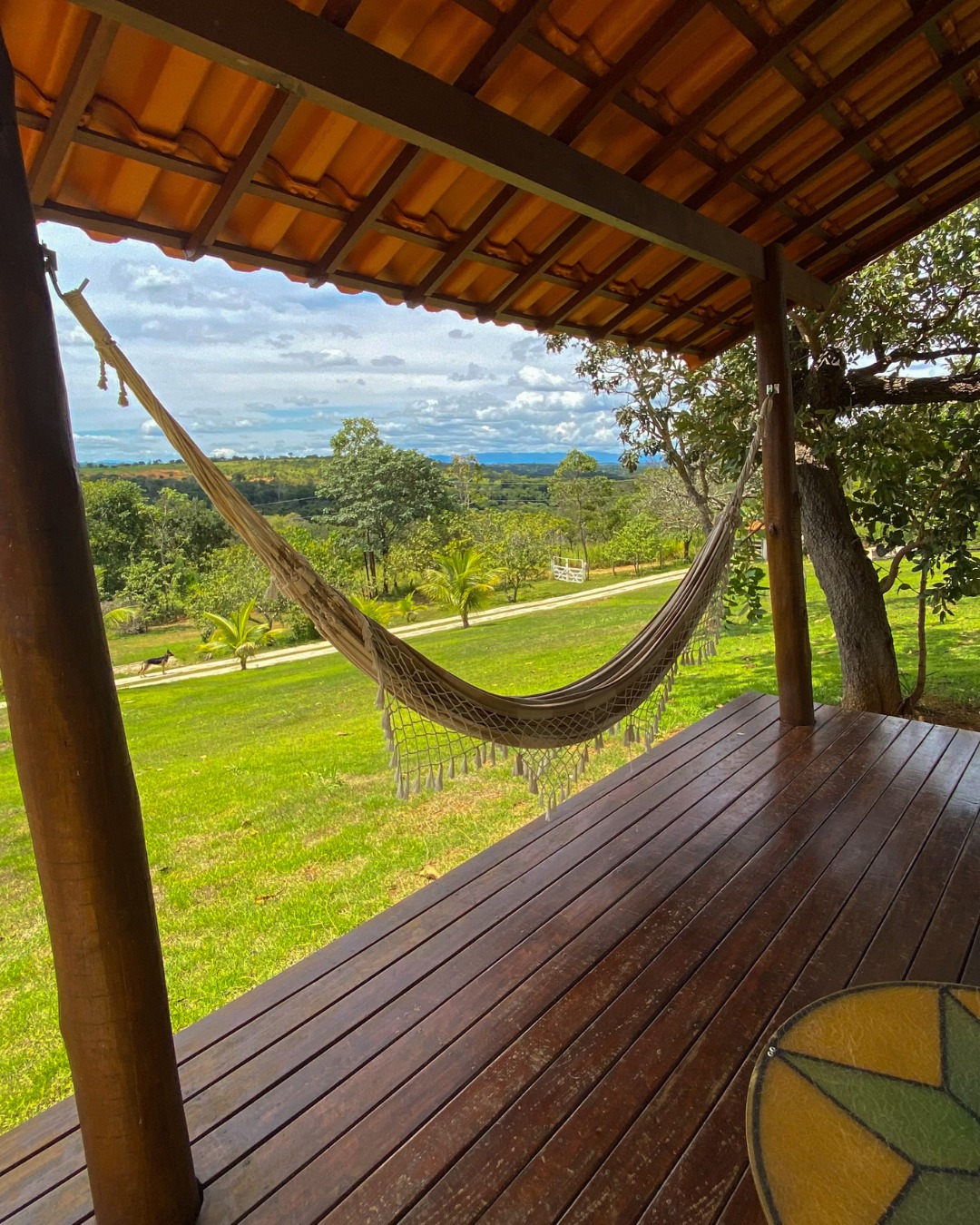 Imagem do WhatsApp de 2025-12-15 à(s) 13.54.35_f055d8f1