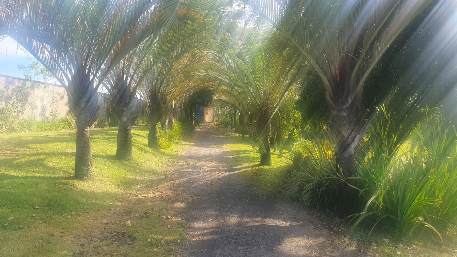 WhatsApp Image 2026-01-23 at 13.11.52