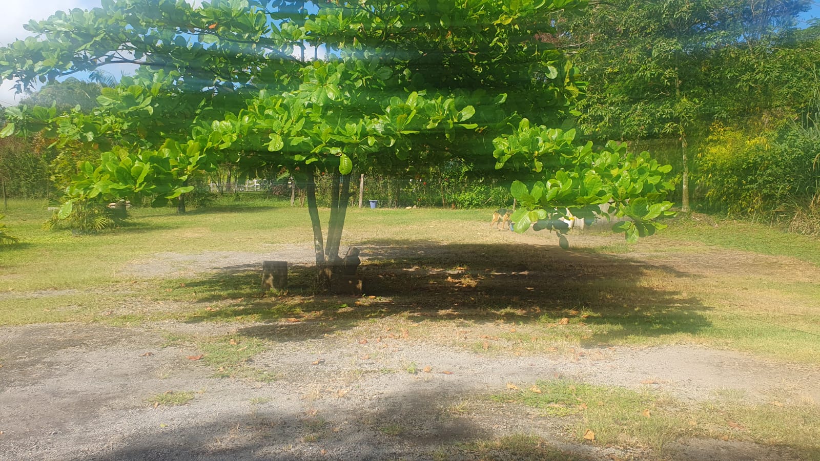 WhatsApp Image 2026-01-23 at 13.11.55 (2)