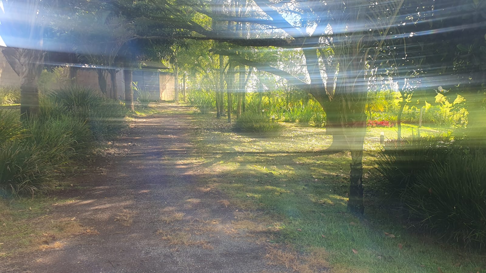 WhatsApp Image 2026-01-23 at 13.11.55 (4)