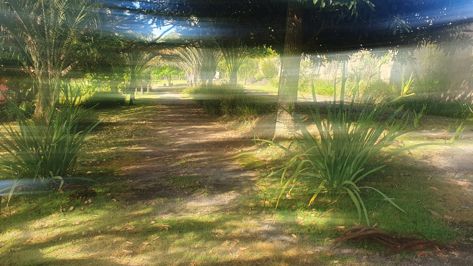 WhatsApp Image 2026-01-23 at 13.11.56 (2)