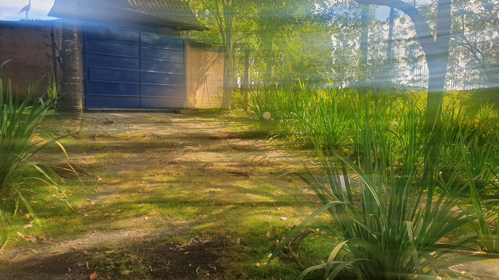 WhatsApp Image 2026-01-23 at 13.11.56