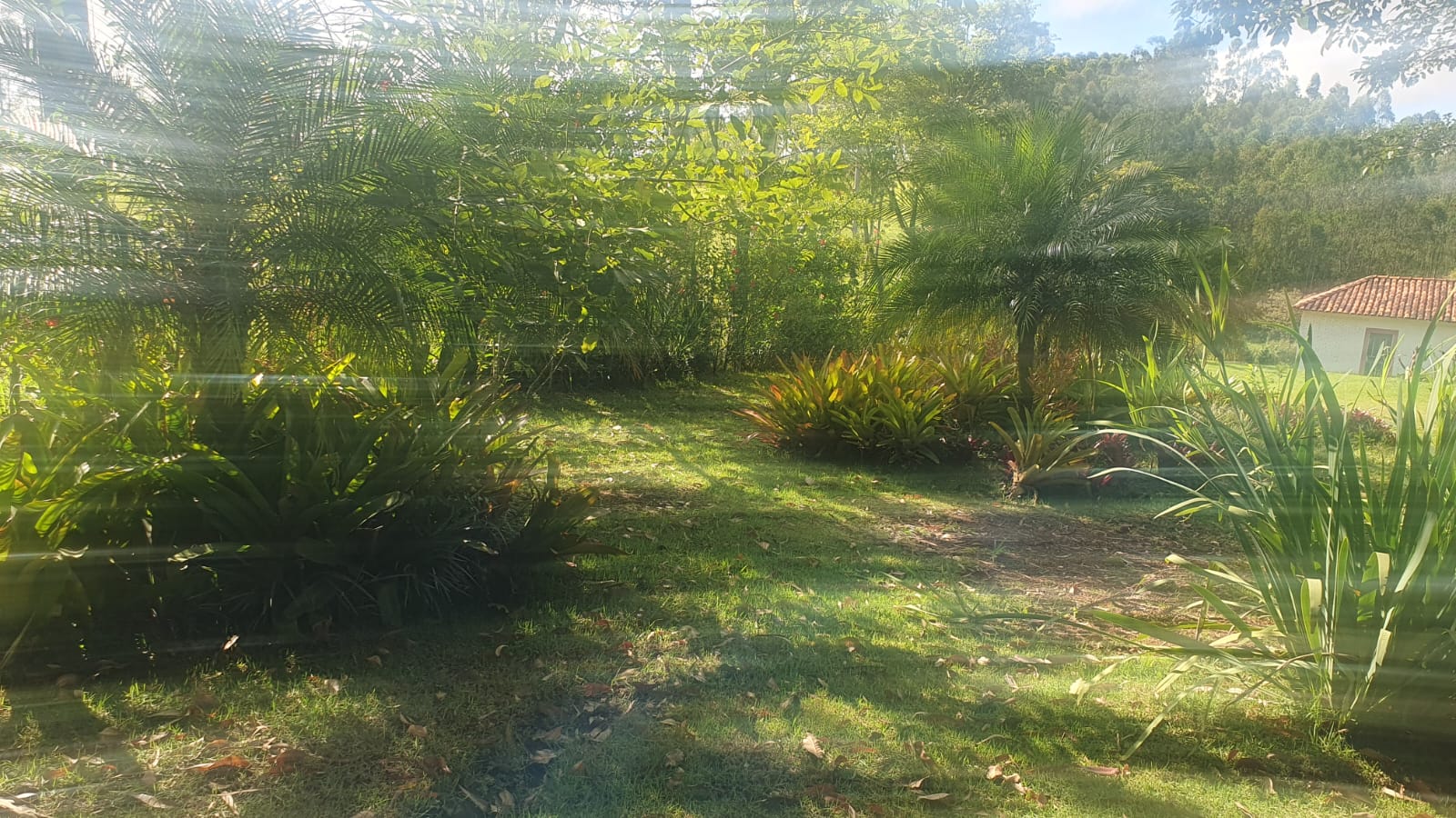 WhatsApp Image 2026-01-23 at 13.11.57