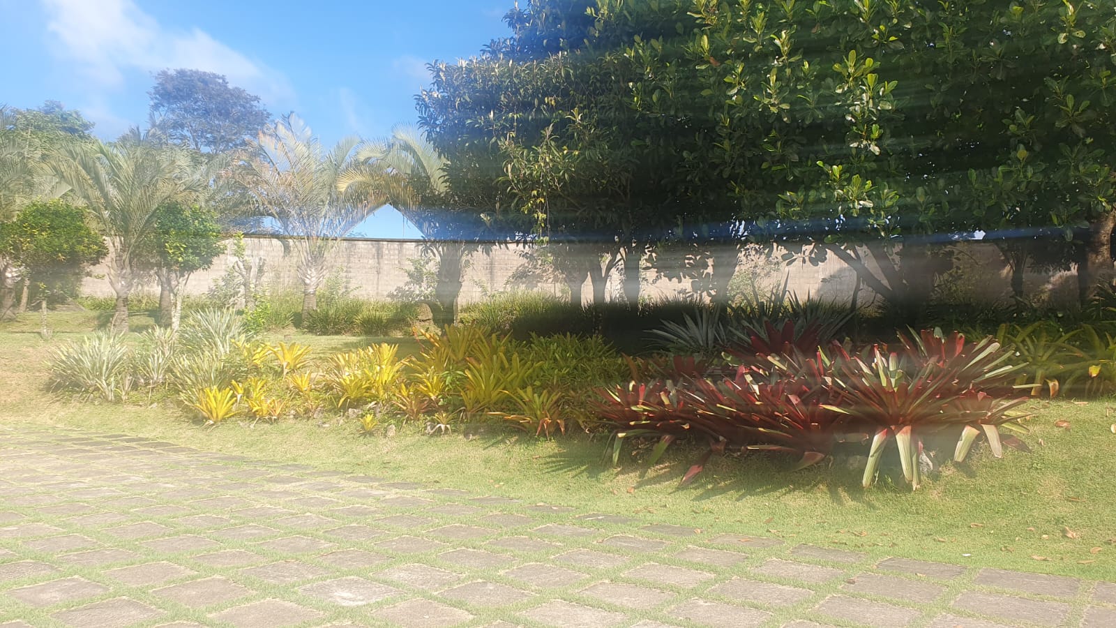 WhatsApp Image 2026-01-23 at 13.11.58 (2)