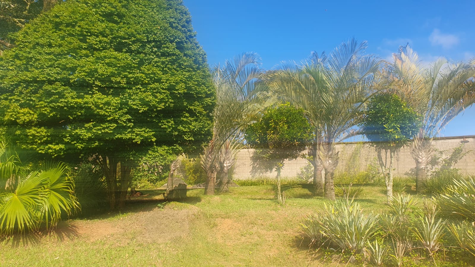 WhatsApp Image 2026-01-23 at 13.11.59