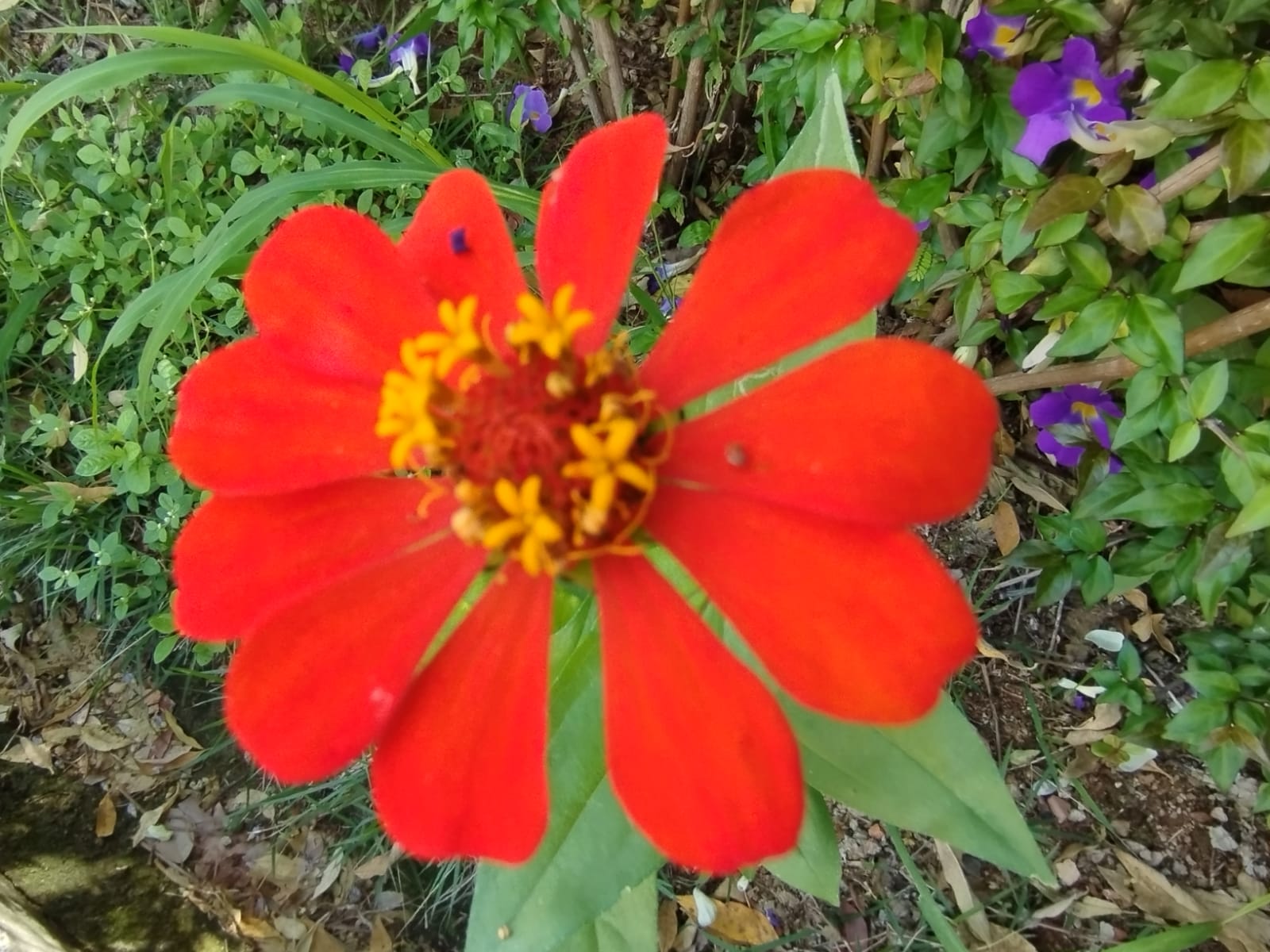 WhatsApp Image 2026-01-27 at 12.40.07 (1)