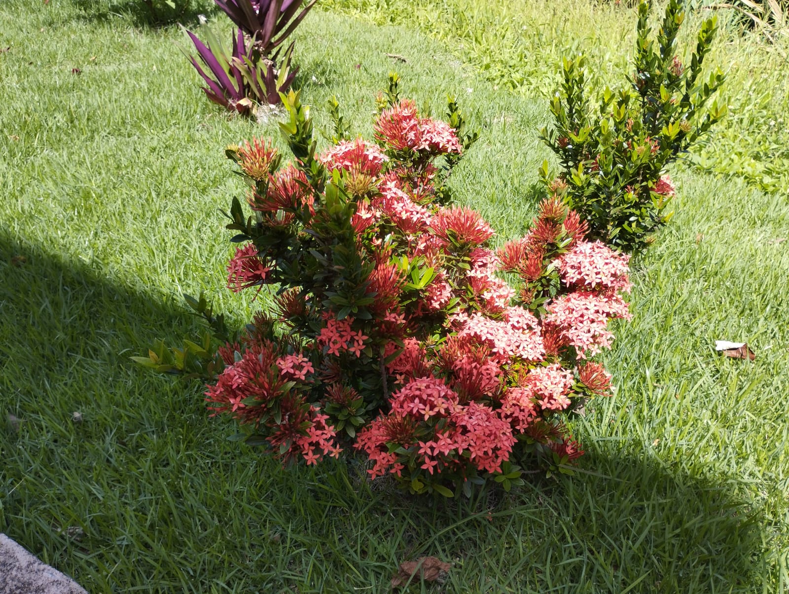 WhatsApp Image 2026-01-27 at 12.40.07 (3)