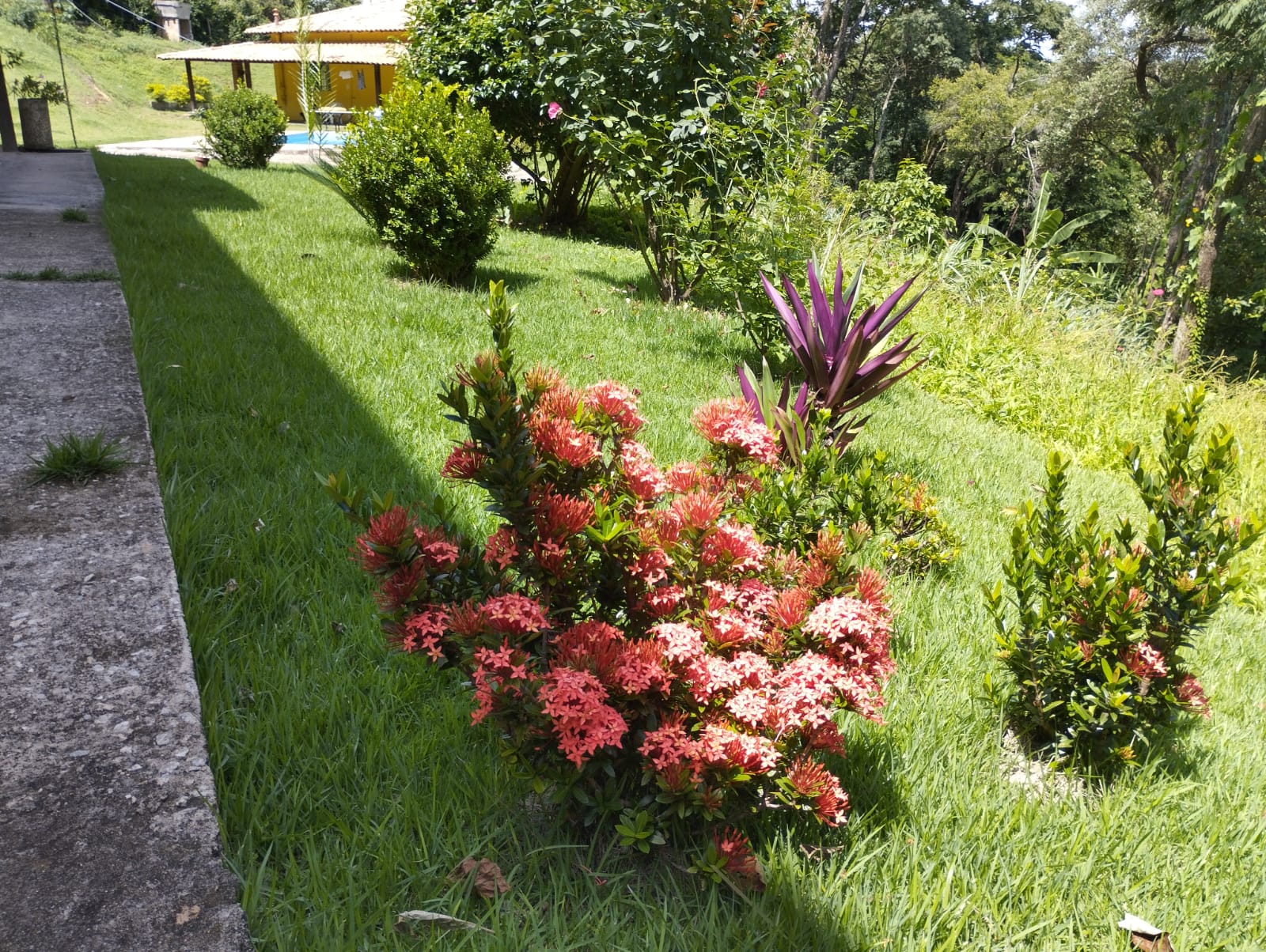 WhatsApp Image 2026-01-27 at 12.40.08