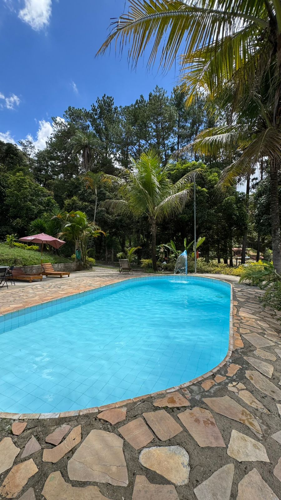 WhatsApp Image 2026-02-22 at 00.39.35 (1)