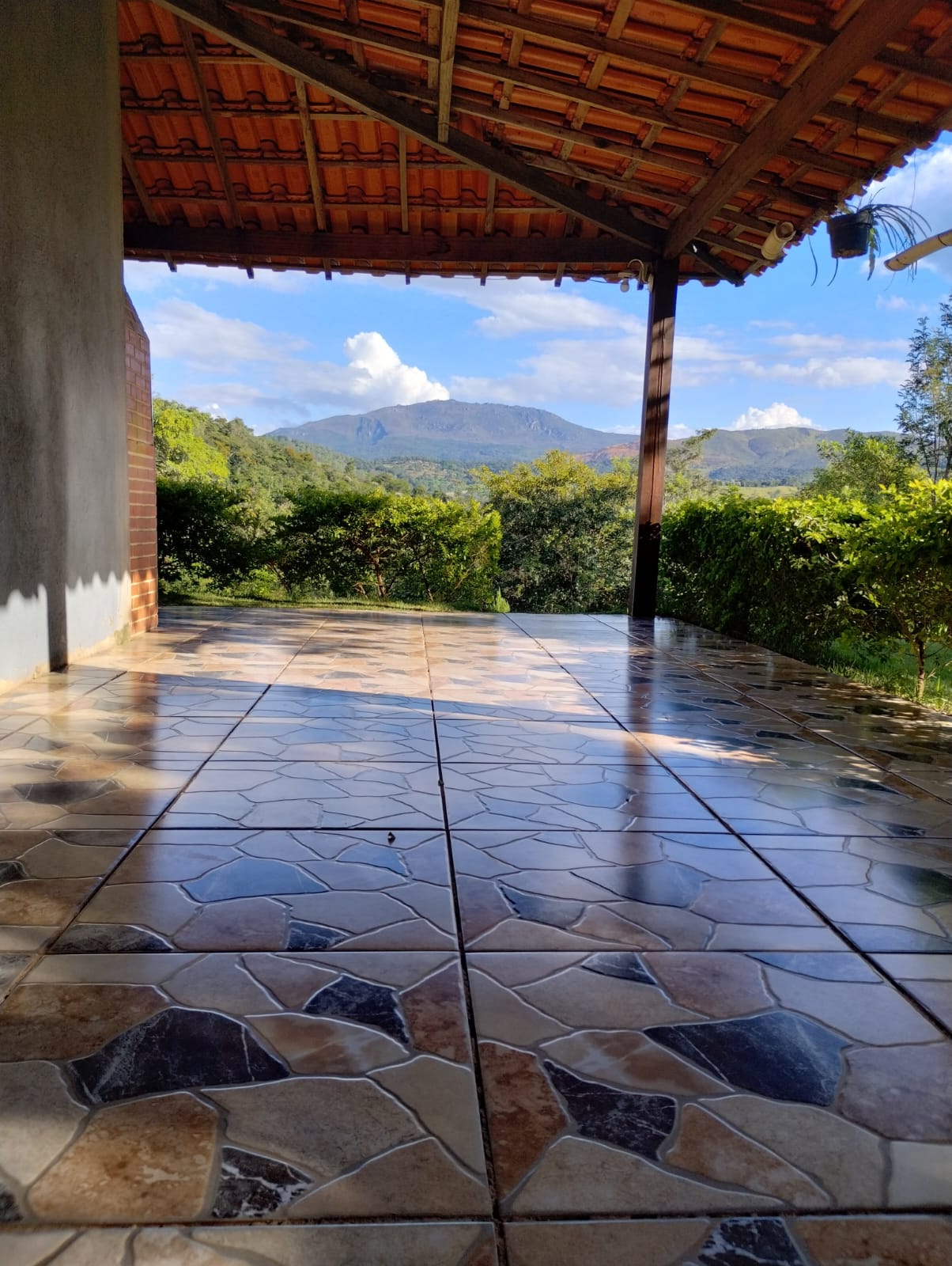 WhatsApp Image 2026-03-24 at 15.29.36