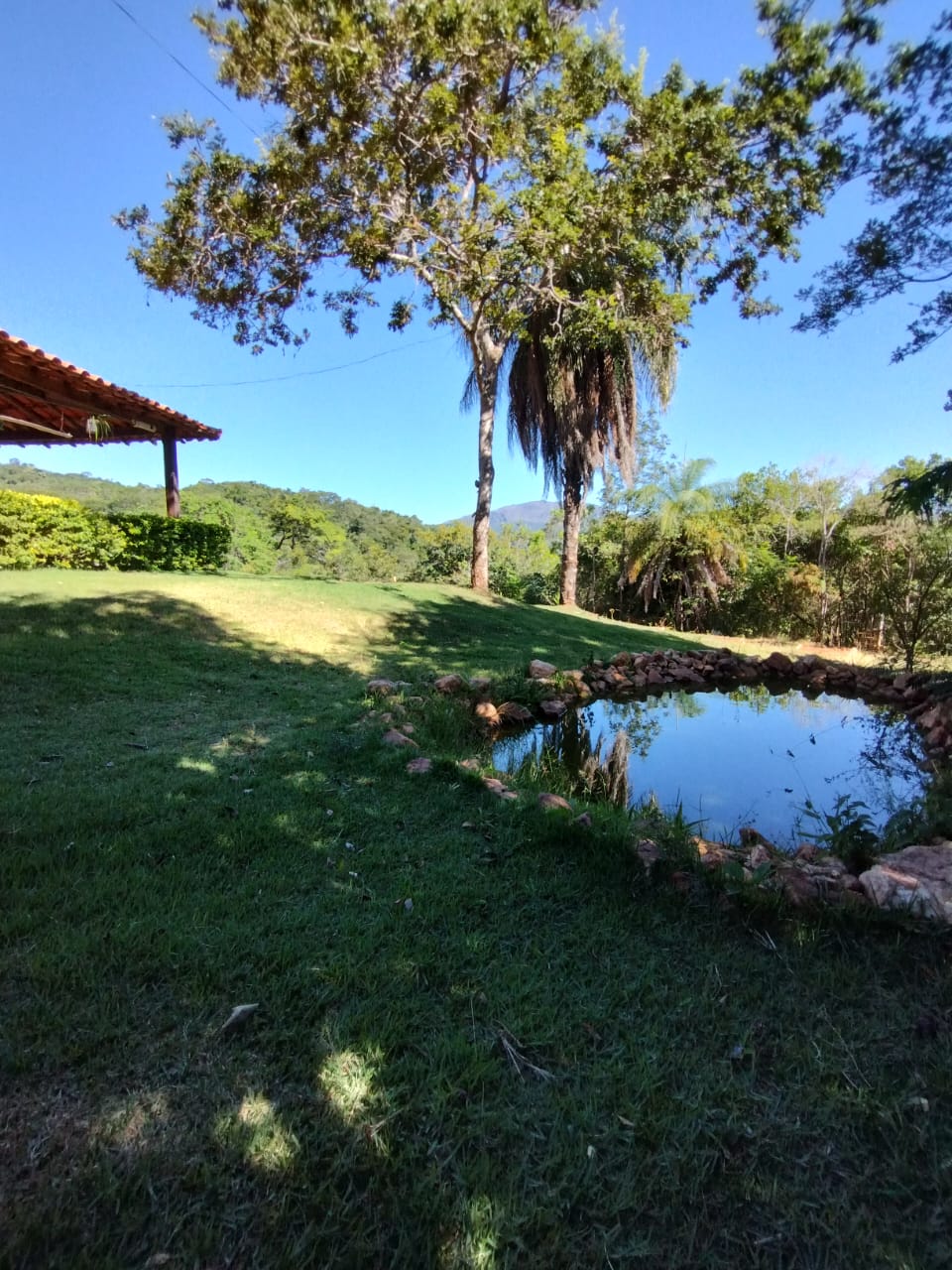 WhatsApp Image 2026-03-24 at 15.31.11