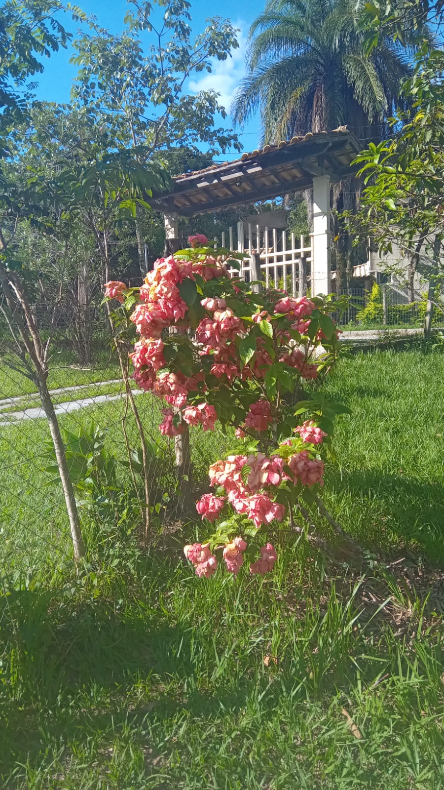 WhatsApp Image 2026-03-25 at 23.59.43 (1)