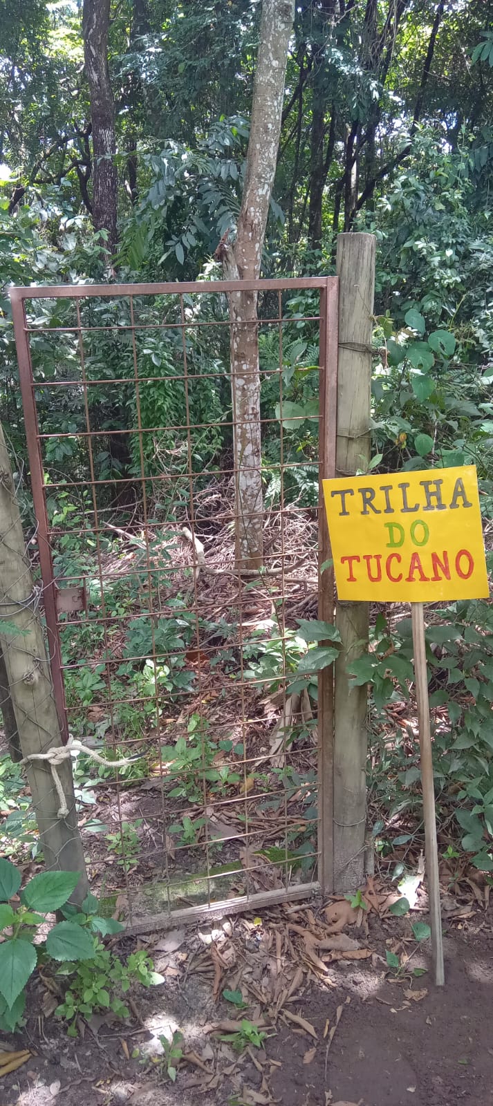 WhatsApp Image 2026-03-25 at 23.59.45 (3)