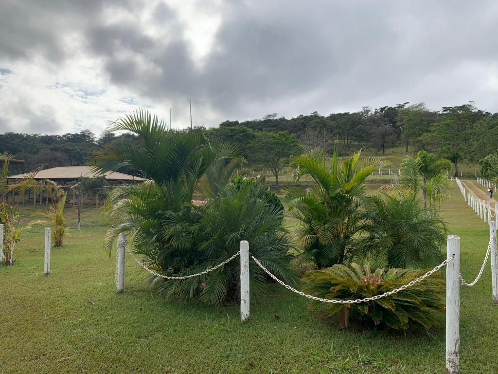 WhatsApp Image 2026-04-11 at 13.00.31 (3)